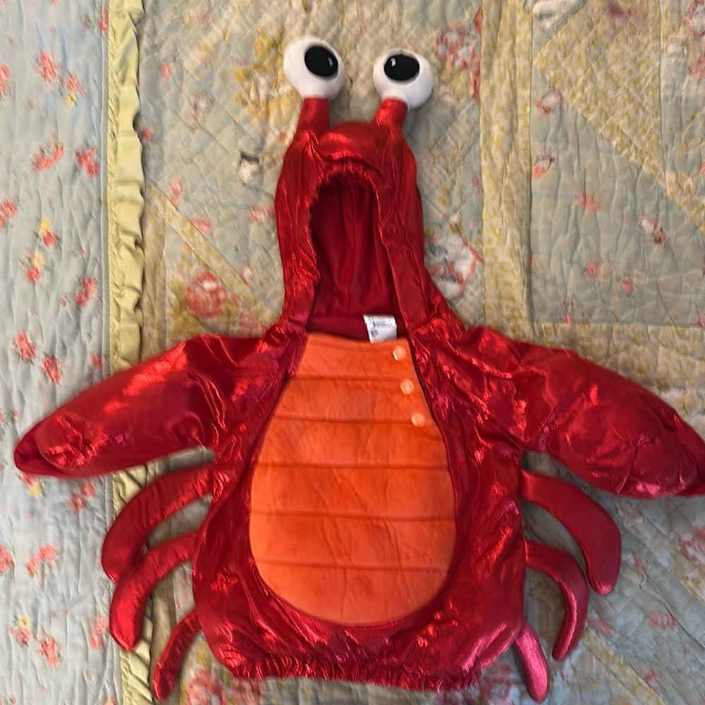 Infant Crab Costume